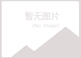 珲春字迹媒体有限公司